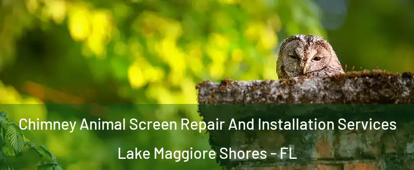 Chimney Animal Screen Repair And Installation Services Lake Maggiore Shores - FL