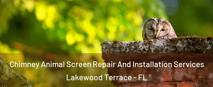 Chimney Animal Screen Repair And Installation Services Lakewood Terrace - FL