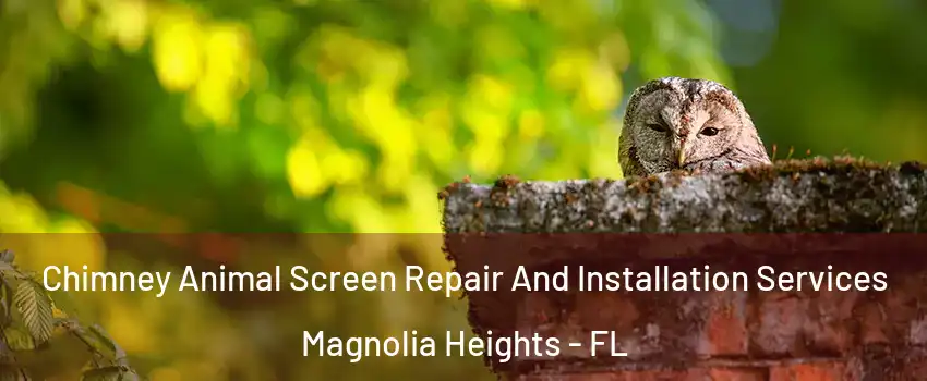 Chimney Animal Screen Repair And Installation Services Magnolia Heights - FL