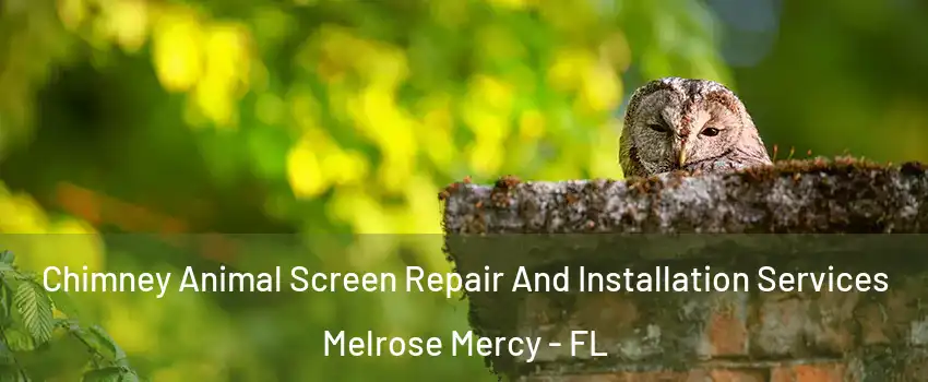 Chimney Animal Screen Repair And Installation Services Melrose Mercy - FL
