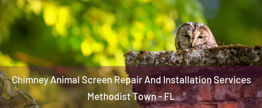 Chimney Animal Screen Repair And Installation Services Methodist Town - FL