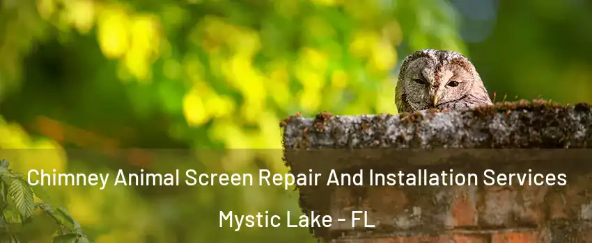 Chimney Animal Screen Repair And Installation Services Mystic Lake - FL