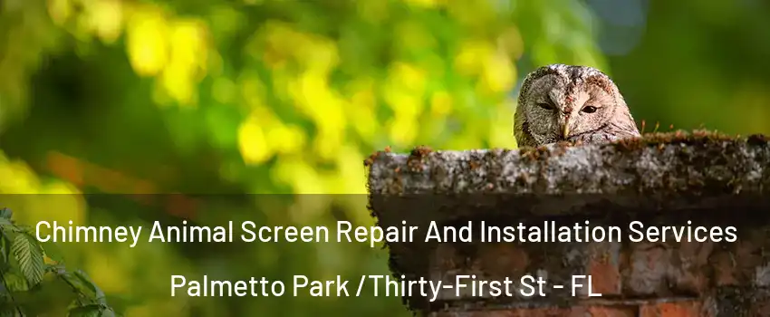 Chimney Animal Screen Repair And Installation Services Palmetto Park /Thirty-First St - FL