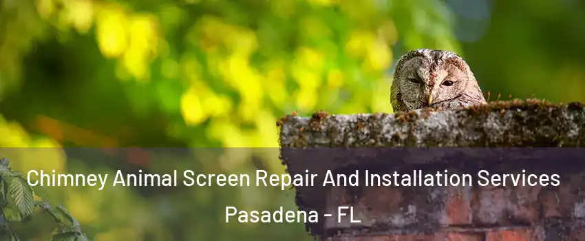 Chimney Animal Screen Repair And Installation Services Pasadena - FL