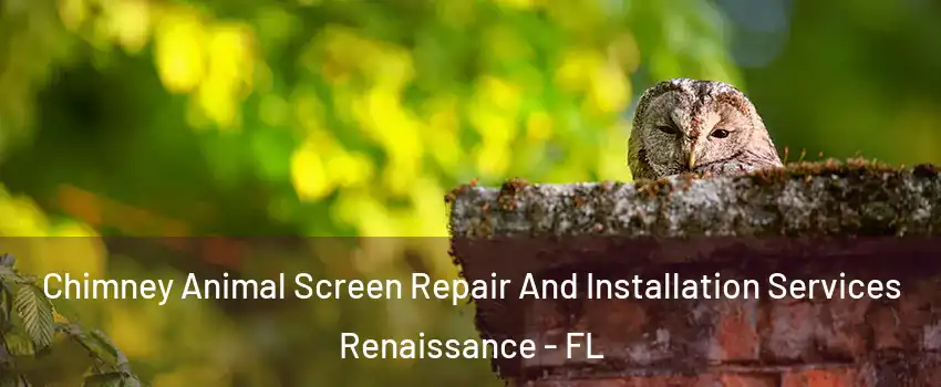Chimney Animal Screen Repair And Installation Services Renaissance - FL