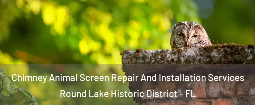 Chimney Animal Screen Repair And Installation Services Round Lake Historic District - FL