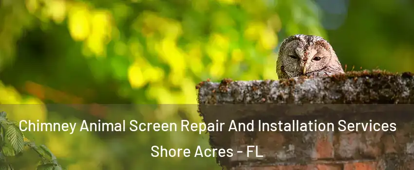 Chimney Animal Screen Repair And Installation Services Shore Acres - FL