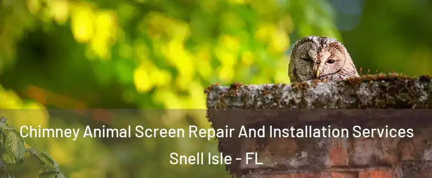 Chimney Animal Screen Repair And Installation Services Snell Isle - FL