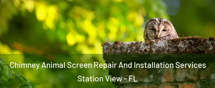 Chimney Animal Screen Repair And Installation Services Station View - FL