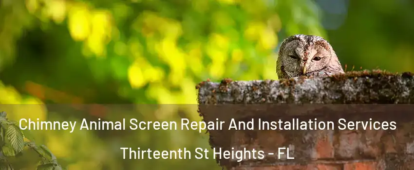 Chimney Animal Screen Repair And Installation Services Thirteenth St Heights - FL