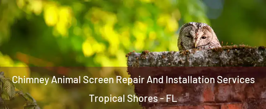 Chimney Animal Screen Repair And Installation Services Tropical Shores - FL