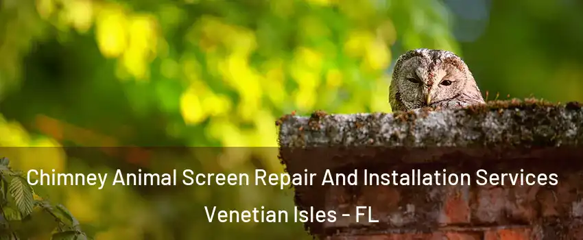 Chimney Animal Screen Repair And Installation Services Venetian Isles - FL