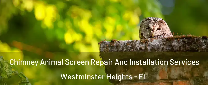 Chimney Animal Screen Repair And Installation Services Westminster Heights - FL