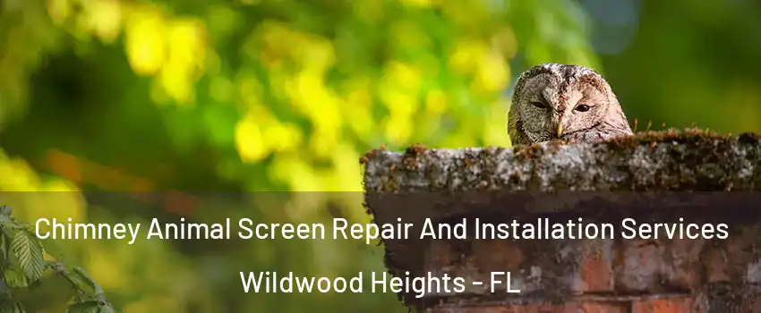 Chimney Animal Screen Repair And Installation Services Wildwood Heights - FL