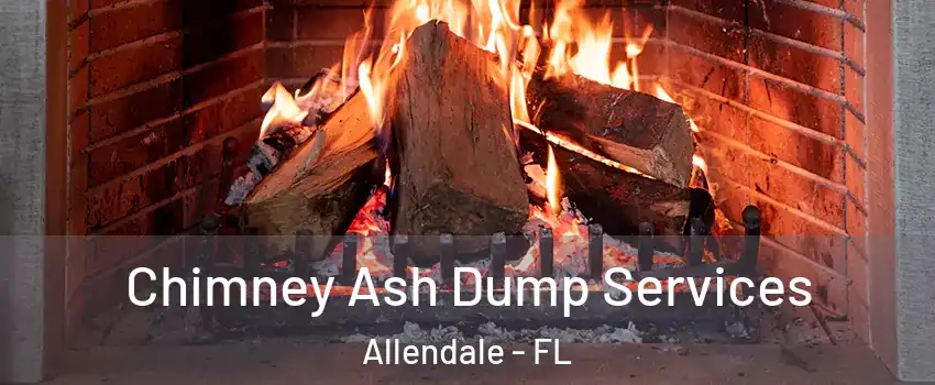 Chimney Ash Dump Services Allendale - FL