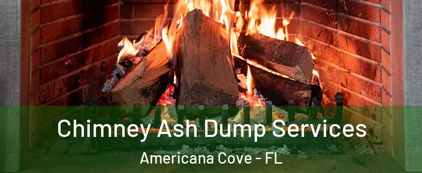 Chimney Ash Dump Services Americana Cove - FL