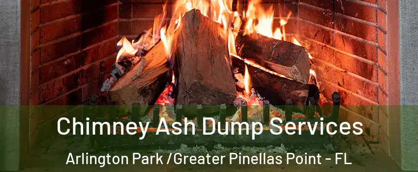 Chimney Ash Dump Services Arlington Park /Greater Pinellas Point - FL