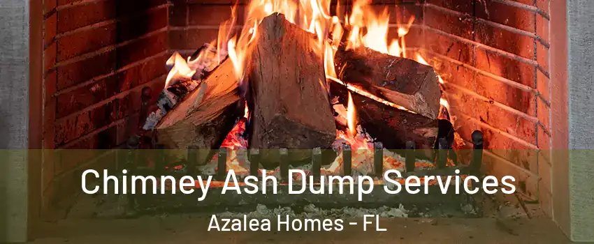 Chimney Ash Dump Services Azalea Homes - FL