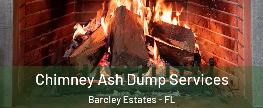 Chimney Ash Dump Services Barcley Estates - FL