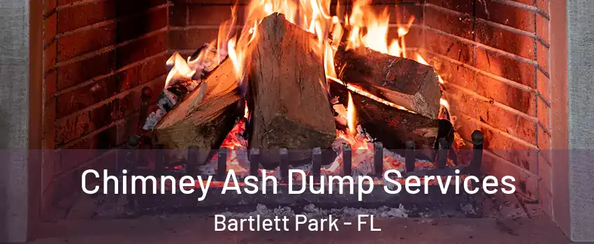 Chimney Ash Dump Services Bartlett Park - FL