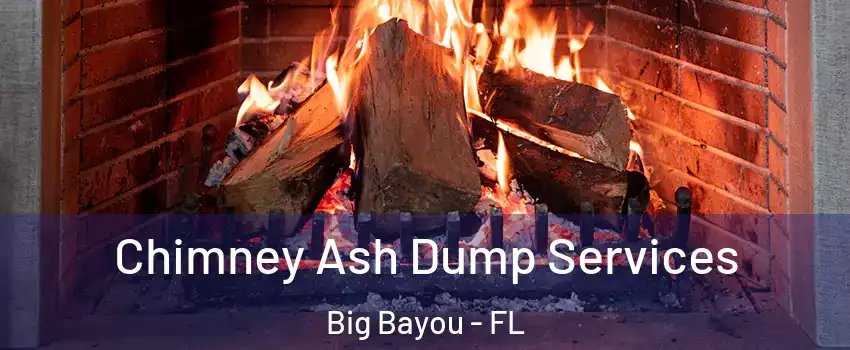 Chimney Ash Dump Services Big Bayou - FL