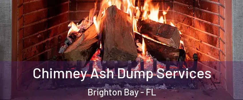 Chimney Ash Dump Services Brighton Bay - FL