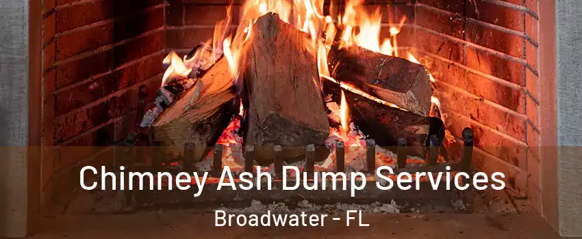 Chimney Ash Dump Services Broadwater - FL
