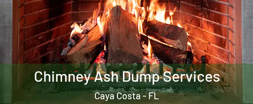 Chimney Ash Dump Services Caya Costa - FL