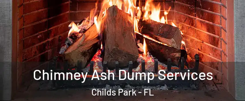 Chimney Ash Dump Services Childs Park - FL