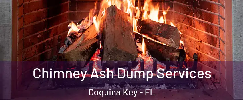 Chimney Ash Dump Services Coquina Key - FL
