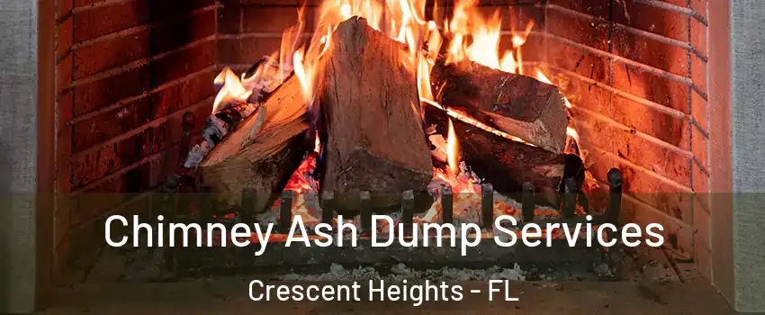 Chimney Ash Dump Services Crescent Heights - FL
