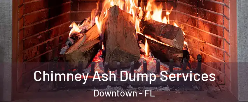 Chimney Ash Dump Services Downtown - FL