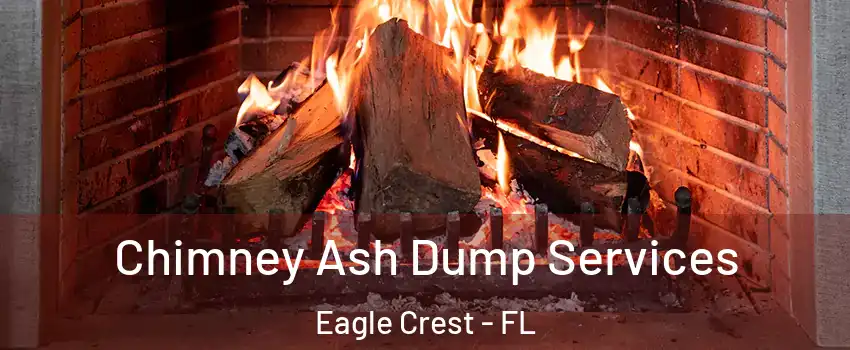 Chimney Ash Dump Services Eagle Crest - FL