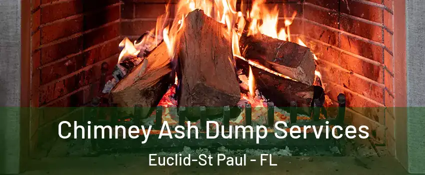 Chimney Ash Dump Services Euclid-St Paul - FL