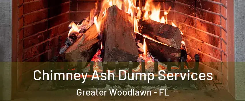 Chimney Ash Dump Services Greater Woodlawn - FL
