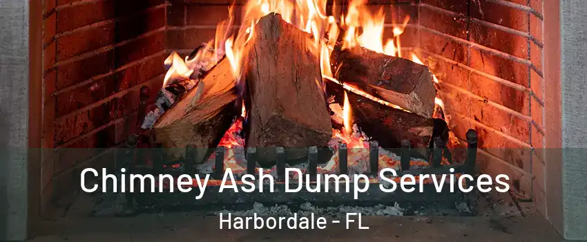 Chimney Ash Dump Services Harbordale - FL