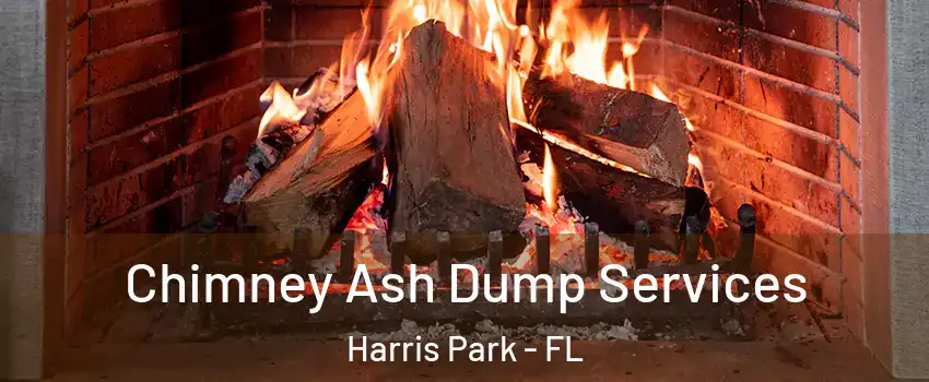 Chimney Ash Dump Services Harris Park - FL