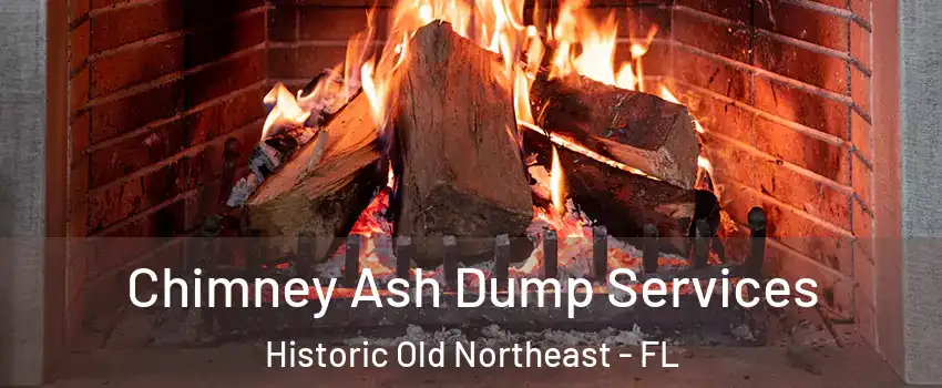 Chimney Ash Dump Services Historic Old Northeast - FL