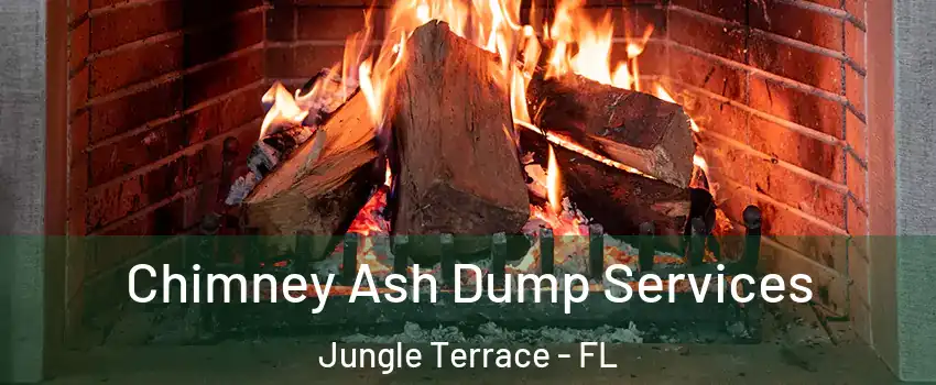 Chimney Ash Dump Services Jungle Terrace - FL
