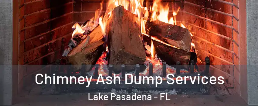 Chimney Ash Dump Services Lake Pasadena - FL