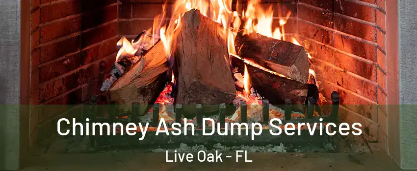 Chimney Ash Dump Services Live Oak - FL