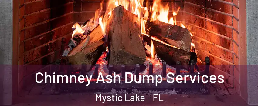 Chimney Ash Dump Services Mystic Lake - FL
