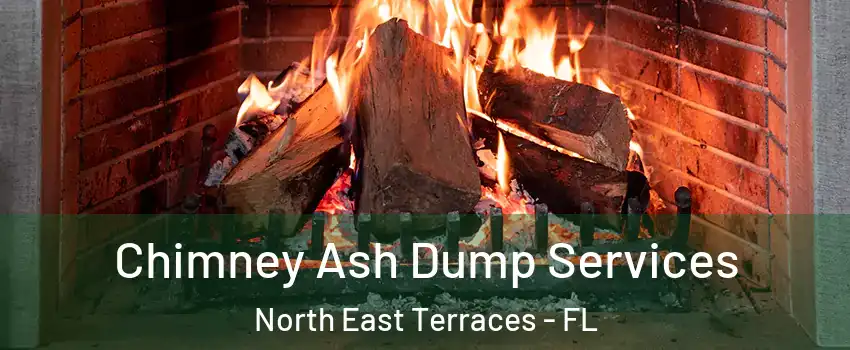 Chimney Ash Dump Services North East Terraces - FL