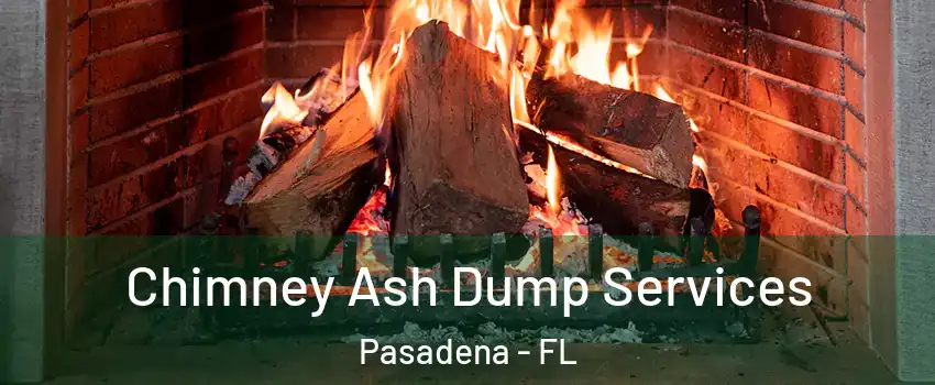 Chimney Ash Dump Services Pasadena - FL