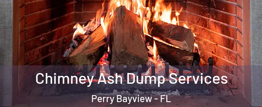 Chimney Ash Dump Services Perry Bayview - FL