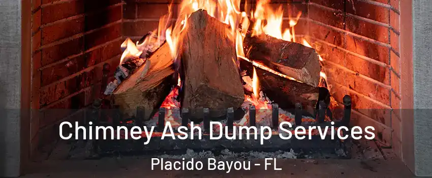 Chimney Ash Dump Services Placido Bayou - FL