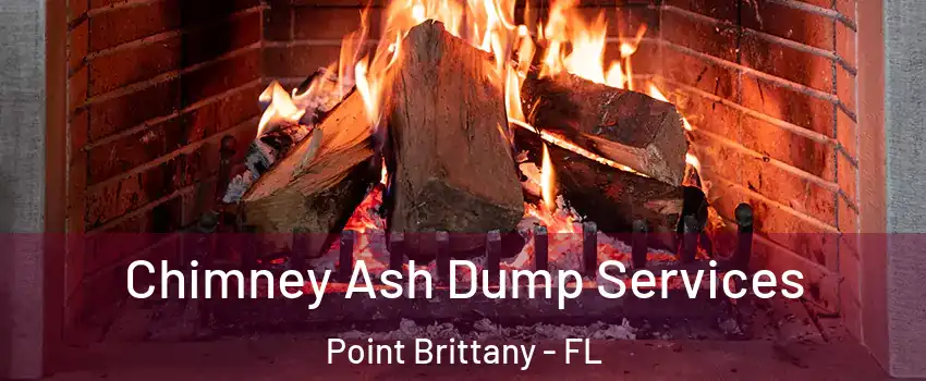 Chimney Ash Dump Services Point Brittany - FL