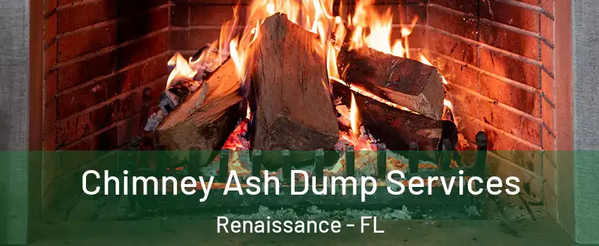 Chimney Ash Dump Services Renaissance - FL