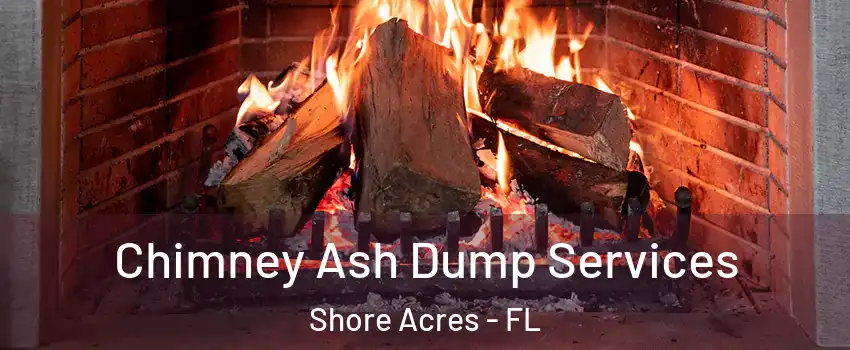 Chimney Ash Dump Services Shore Acres - FL