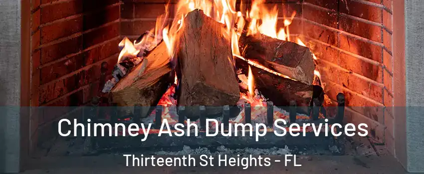 Chimney Ash Dump Services Thirteenth St Heights - FL